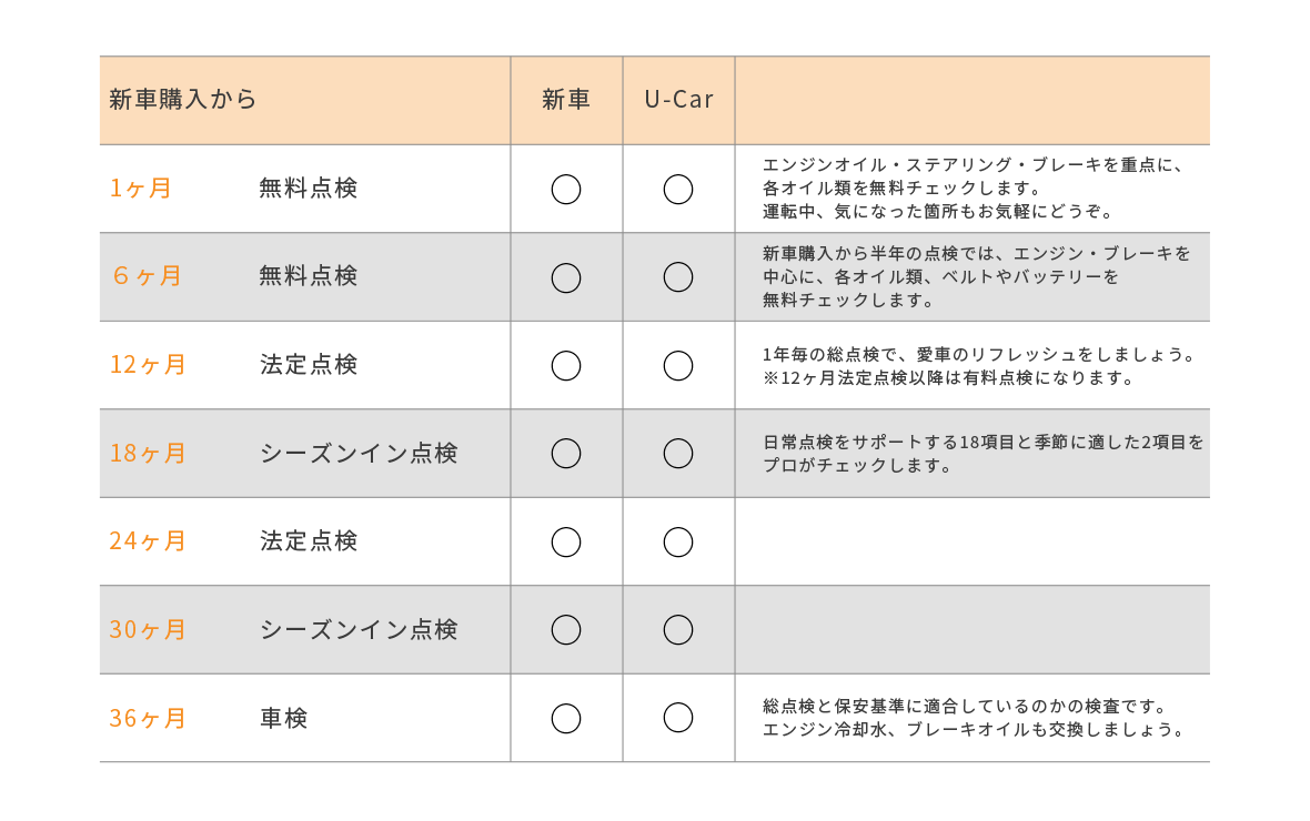 スケジュール
