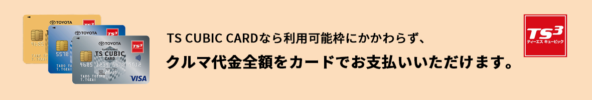 TS CUBICCARD