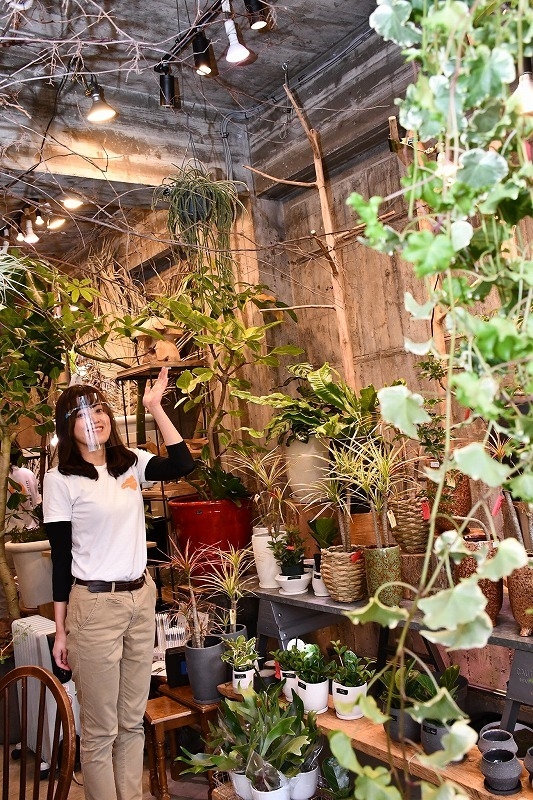 Tokoton隊がゆく 徳島市お花屋さん編